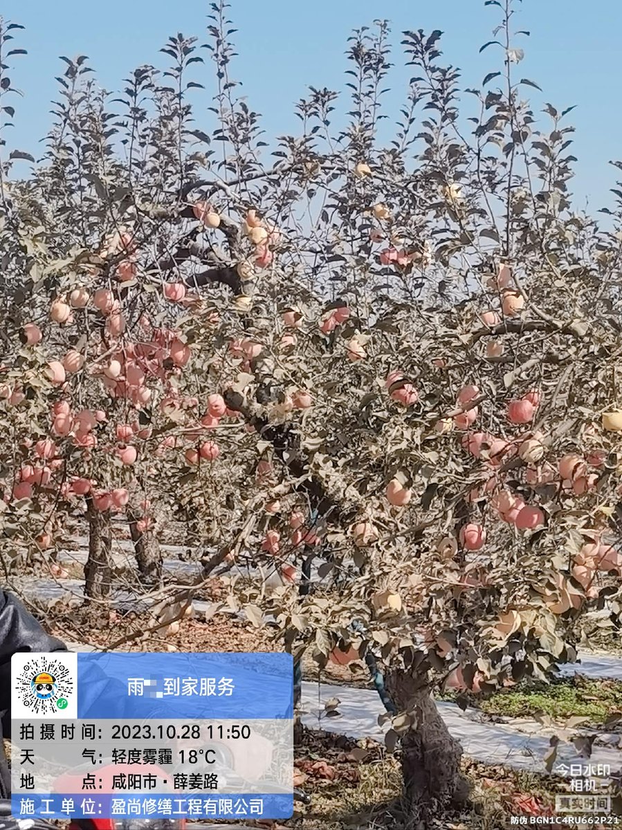 西安外墙渗水防水材料怎么选？业主自查手册